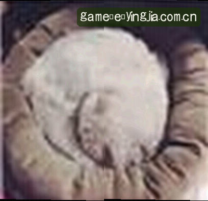 赵磊